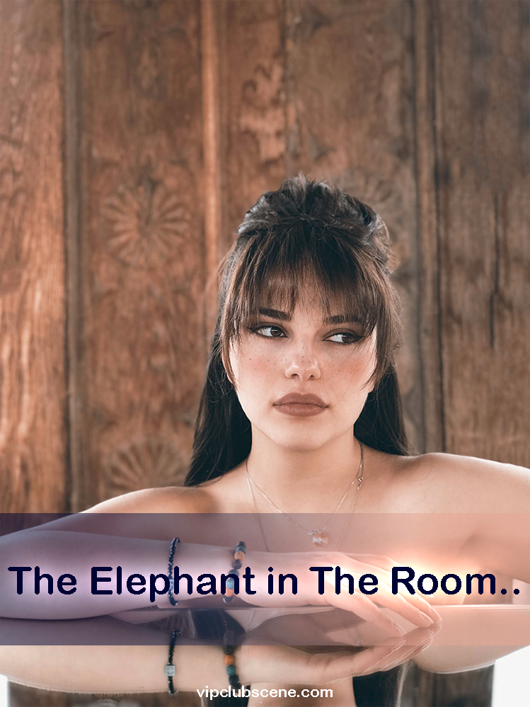 The Elephant in The Room..