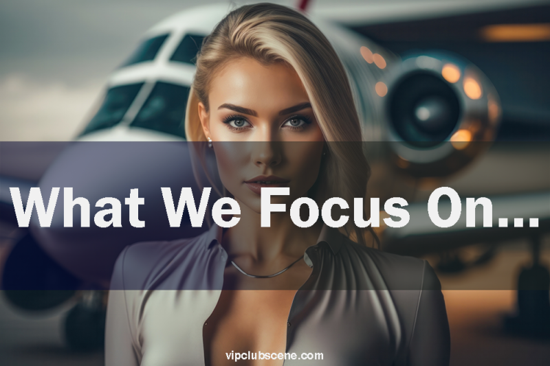 What We Focus On…